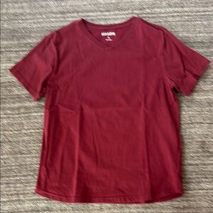 Ash and Erie Pima Cotton V neck Tshirt